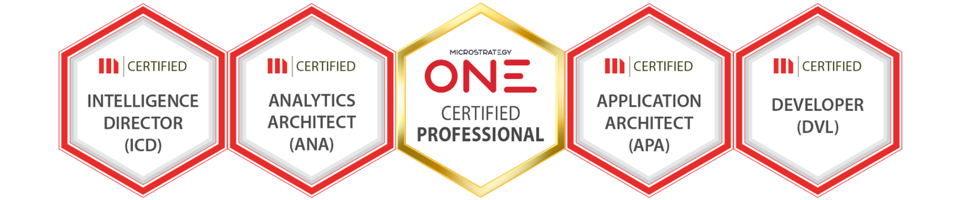 Microstrategy Professional Services